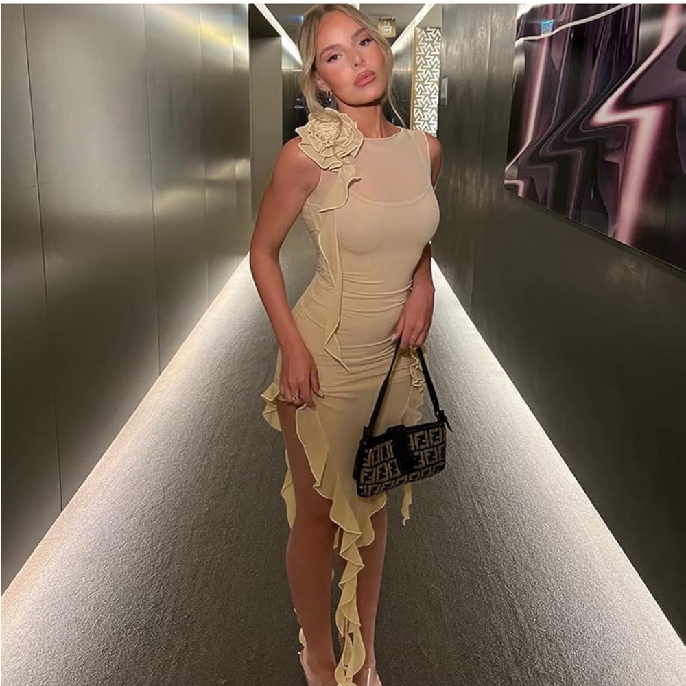 Bodycon Sheer Ruffle Dress